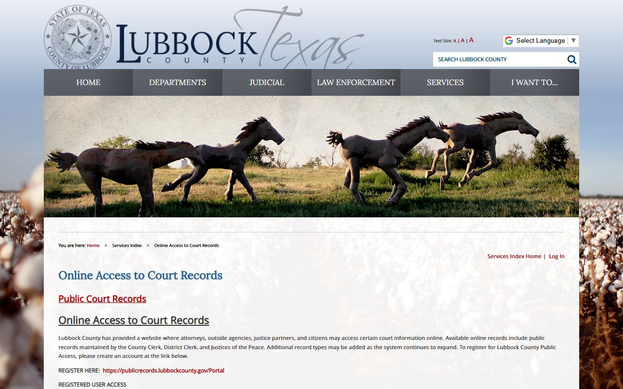 Lubbock County court records public access registration page