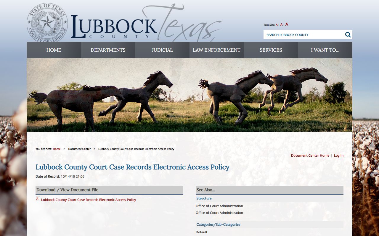 Lubbock County court records electronic access policy document page