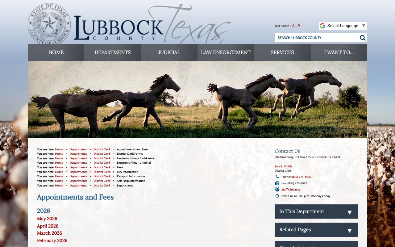 Lubbock County District Clerk official eFiling FAQ and division page