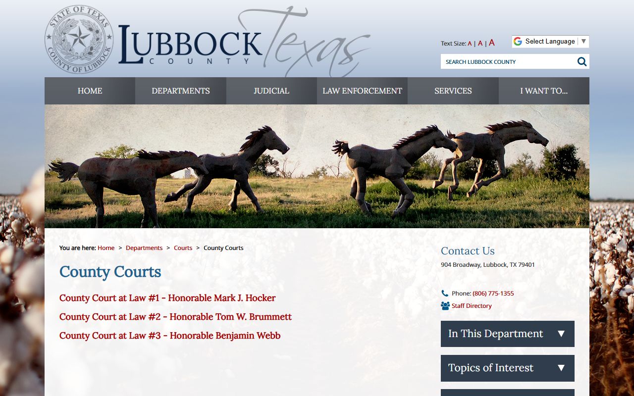 Lubbock County court records and courthouse contact block