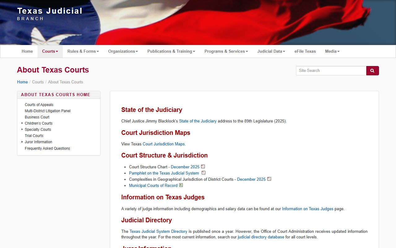 Texas judiciary court structure used for Lubbock County court records