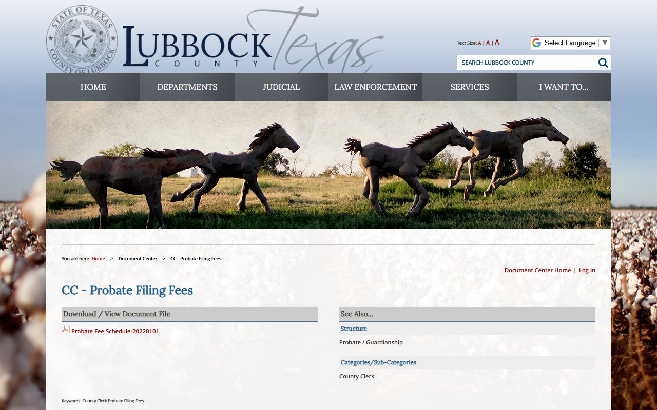 Lubbock County probate records official probate filing fee document-center entry