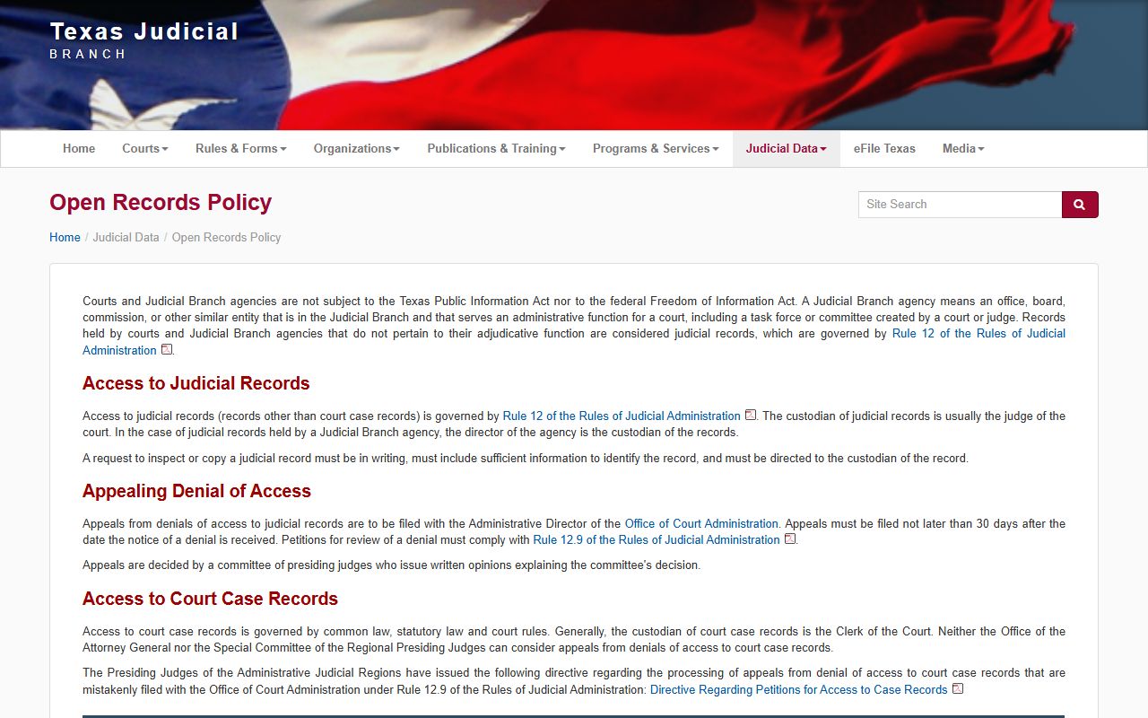 Texas judiciary open records policy used for Lubbock County public records